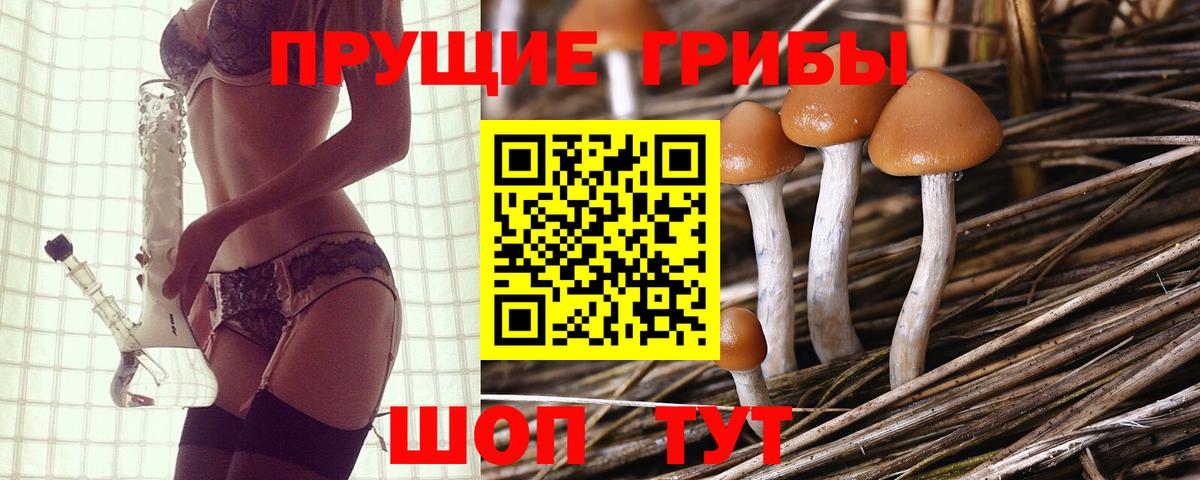 Галлюциногенные грибы ЛСД  Вход с VPN  Астрахань 