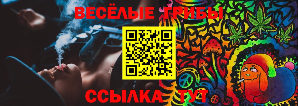 Галлюциногенные грибы GOLDEN TEACHER Астрахань